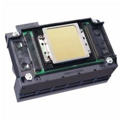 Xp600 Printhead